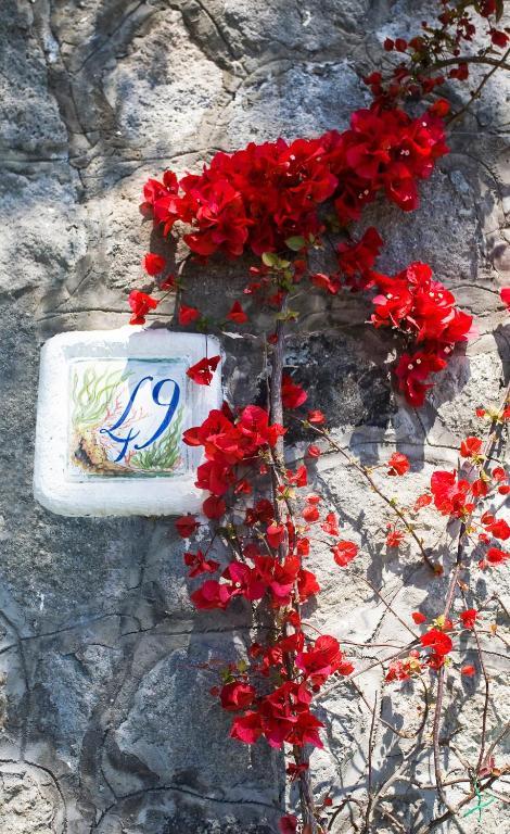S.angelo Sant'Angelo (Isola d'Ischia)